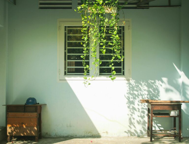 Tips for Creating an Eco-Friendly Home on a Budget